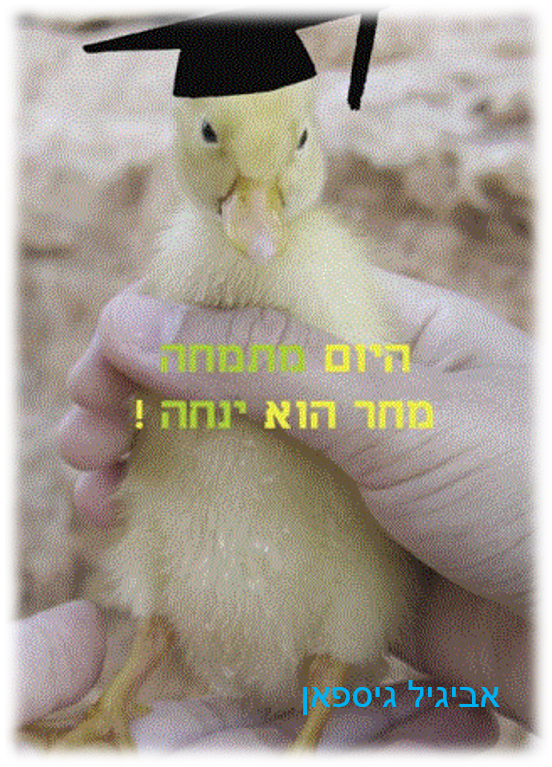 היום מתמחה, מחר הוא ינחה – אביגיל גיספאן